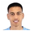 Irfan Egribayat