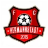 FC Hermannstadt