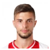 D. Penescu