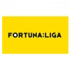 Czech Liga