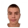 D. Iskrić