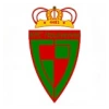Houtvenne