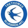 Trethomas Bluebirds