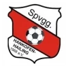 Hankofen-Hailing
