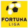 1. liga