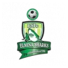 Elmina Sharks
