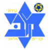 M. Ironi Kiryat Malachi