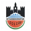 Diyarbekirspor