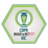 Copa Santa Catarina