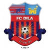 Dila Gori