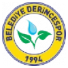 Guzide Gebzespor
