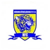 Hodmezovasarhely FC