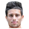 M. Fotescu