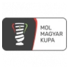 Magyar Kupa - 1/16-finals