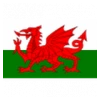 Wales U19