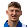 Joe Grey