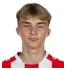 K. Potulski