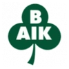Bergnasets