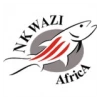 Nkwazi