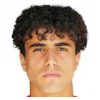 Denizcan Cosgun