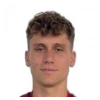 Stefano Piccinini
