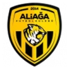 Aliaga