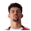 Tomas Araujo