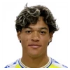 F. Castillo