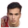 Ferran Zarzoso