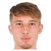 N. Koprivnik