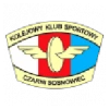Czarni Sosnowiec W