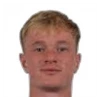 Will Jenkins-Davies