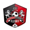 Fleury 91