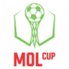 Cup - 1/8-finals