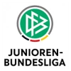 U19 Bundesliga - Preliminary