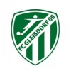 Gleisdorf