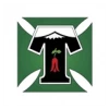 Deportes Temuco