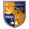 Parceiro Nagano W