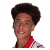 Axel Witsel