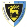 Jelenia Gora