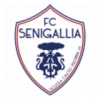 Vigor Senigallia
