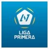 Primera Division